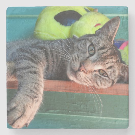 Dessous-de-verre En Pierre Relaxant Tiger Chat Love (Devant)