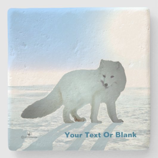 Dessous-de-verre En Pierre Renard arctique (Devant)