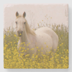 Dessous-de-verre En Pierre Ressort