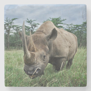 Dessous-de-verre En Pierre Rhinocéros noir Kenya