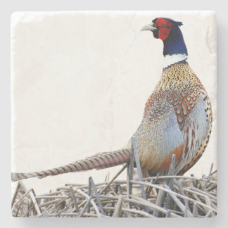 Dessous-de-verre En Pierre Ring-necked Pheasant Photo Stone Trivet