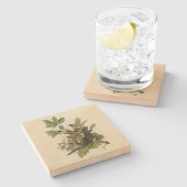 Dessous-de-verre En Pierre Robin américain d'Audubon's Birds of America (Côté)