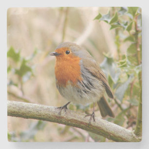 Dessous-de-verre En Pierre Robin étonnant