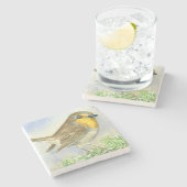 Dessous-de-verre En Pierre Robin sur une branche de genévrier dépoli (Côté)