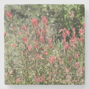 Dessous-de-verre En Pierre Rock Show de juillet