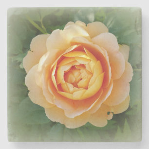 Dessous-de-verre En Pierre Rose d'or