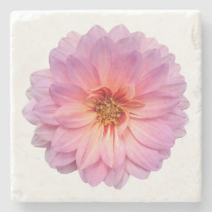 Dessous-de-verre En Pierre Rose et violet Zinnia Flower Blanc