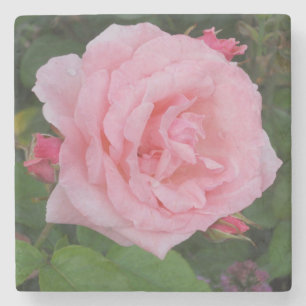 Dessous-de-verre En Pierre Rose Rose Classique