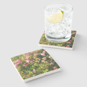 Dessous-de-verre En Pierre Roses roses en fleur
