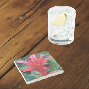 Dessous-de-verre En Pierre Rouge Guzmania Bromeliad Floral