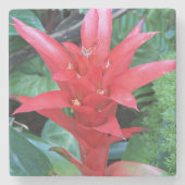 Dessous-de-verre En Pierre Rouge Guzmania Bromeliad Floral (Devant)