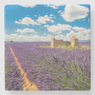 Dessous-de-verre En Pierre Ruine dans un champ de lavande, France
