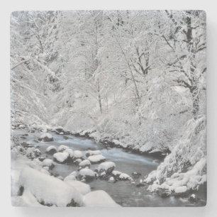 Dessous-de-verre En Pierre ruisseau blanc enneigé pittoresque, Oregon