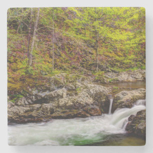 Dessous-de-verre En Pierre Ruisseau forestier dans les Great Smoky Mountains