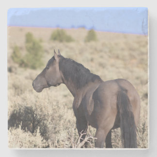 Dessous-de-verre En Pierre S Steens Stone Coaster