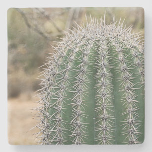 Dessous-de-verre En Pierre Saguaro Cactus en Arizona, dessous de verre carré