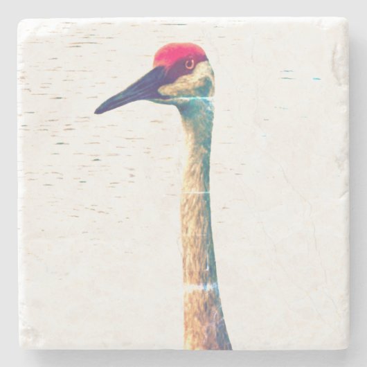 Dessous-de-verre En Pierre Sandhill Crane Coaster (Devant)
