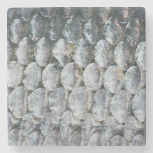 Dessous-de-verre En Pierre Scales Saumons brillantes