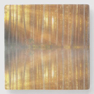 Dessous-de-verre En Pierre Scène de la forêt de Misty