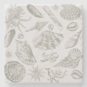 Dessous-de-verre En Pierre Seashell Soft Antique Art Beach Shops