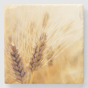 Dessous-de-verre En Pierre Secteur du blé