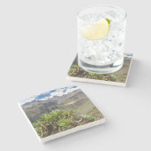 Dessous-de-verre En Pierre Sénéçon Géant ou Dendrosenecio (Côté)