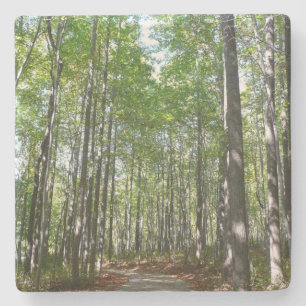 Dessous-de-verre En Pierre Sentier boisé du centenaire II Ellicott City Maryl