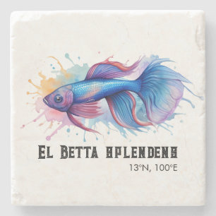 Dessous-de-verre En Pierre Série Aquarelle : Poisson Betta