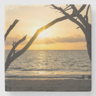 Dessous-de-verre En Pierre Silhouette de l'arbre de lever du soleil