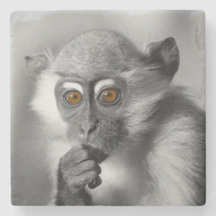 Dessous-de-verre En Pierre Singe de Mangabey de bébé