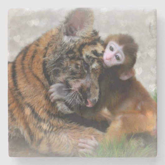 Dessous-de-verre En Pierre Singe et tigre (Devant)
