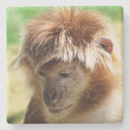 DESSOUS-DE-VERRE EN PIERRE SINGES (Devant)