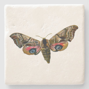 Dessous-de-verre En Pierre Smerinthus ocellata - Eyed Hawk-Moth - Color Image