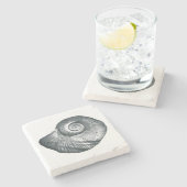 Dessous-de-verre En Pierre Snail Shell (Côté)