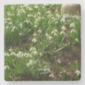 Dessous-de-verre En Pierre Snowdrops (Devant)