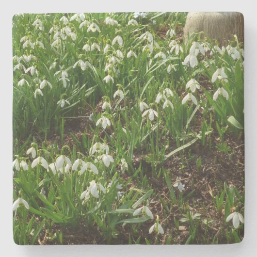 Dessous-de-verre En Pierre Snowdrops (Devant)