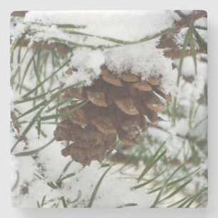 Dessous-de-verre En Pierre Snowy Pine Cone I
