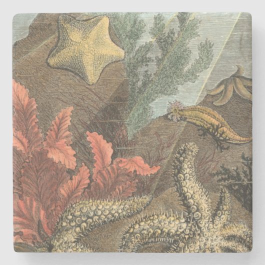 Dessous-de-verre En Pierre Sous la mer (Devant)