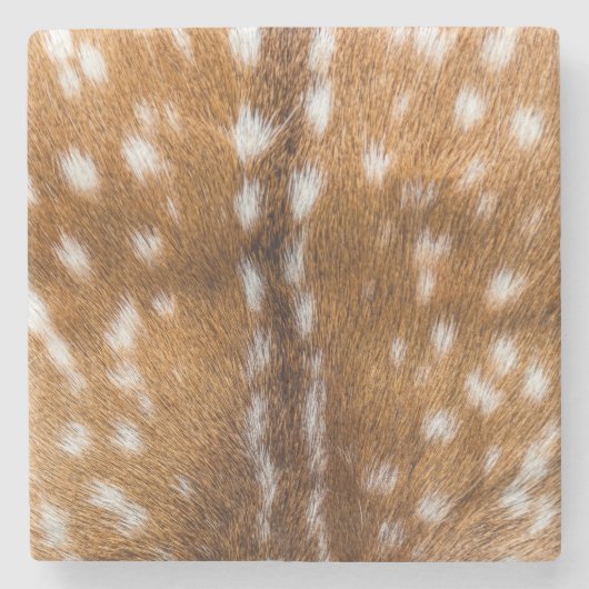 Dessous-de-verre En Pierre Spotted deer pour texture (Devant)