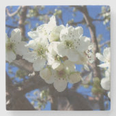 Dessous-de-verre En Pierre Spring Flowering Pear Tree (Devant)