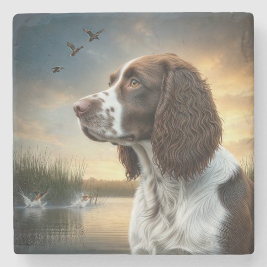 Dessous-de-verre En Pierre Springer Spaniel Dog By Duck Pond (Devant)