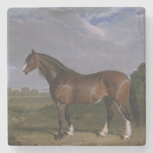 Dessous-de-verre En Pierre Stallion de Clydesdale (Thoroughbred Horse) (Anima
