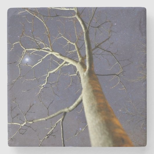 Dessous-de-verre En Pierre Starry_tree_coaster (Devant)
