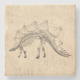 Dessous-de-verre En Pierre Stegosaurus Dinosaur Skeleton Papier à script Vint