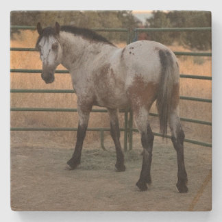 Dessous-de-verre En Pierre Stone Coaster_appy backside