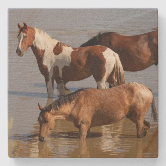 Dessous-de-verre En Pierre Stone Coaster_ mustangs dans l'eau (Devant)