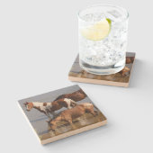 Dessous-de-verre En Pierre Stone Coaster_ mustangs dans l'eau (Côté)
