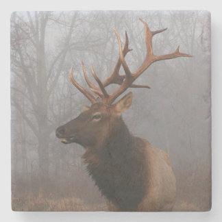 Dessous-de-verre En Pierre Stylish and Elegant Christmas Elk