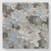 Dessous-de-verre En Pierre Succulent Botanique Naturel (Devant)