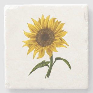 Dessous-de-verre En Pierre Sunflower Sunshine Floral Aquarelle Fleur